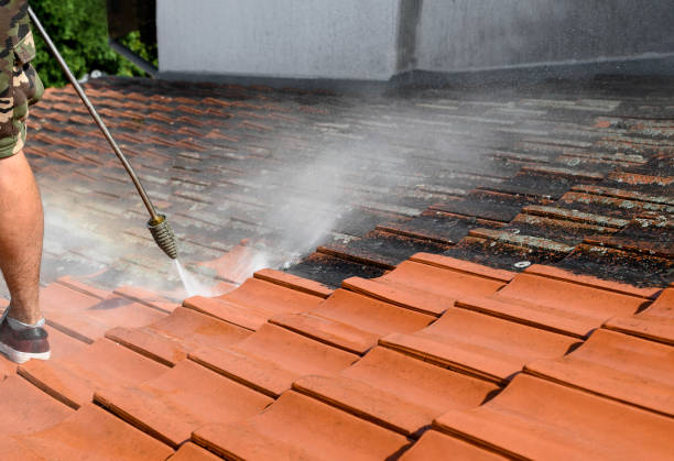 Best Residential Pressure Washing Services  in Gloucester Point, VA