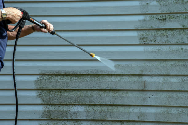 Professional Pressure Washing in Gloucester Point, VA